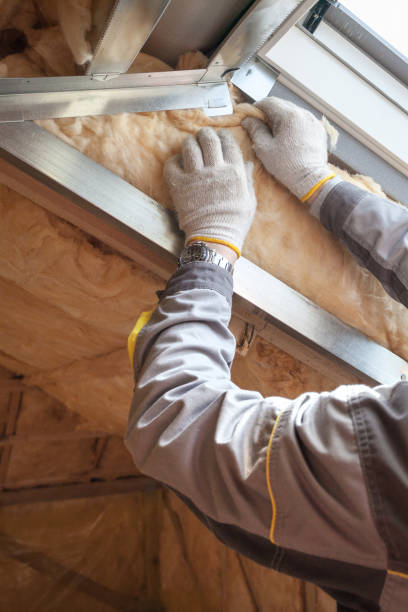 Best Garage Insulation Installation  in Weslaco, TX