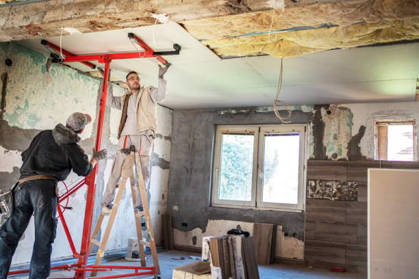 Best Insulation Replacement Services  in Weslaco, TX