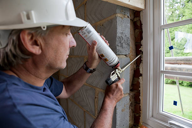 Best Attic Insulation Installation  in Weslaco, TX