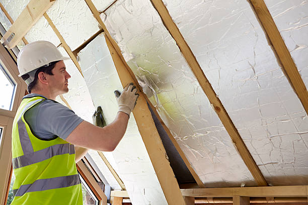 Best Insulation Inspection Services  in Weslaco, TX