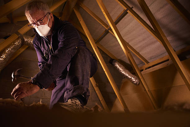 Best Crawl Space Insulation  in Weslaco, TX