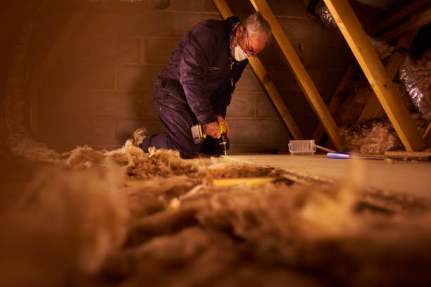 Best Local Insulation Services  in Weslaco, TX